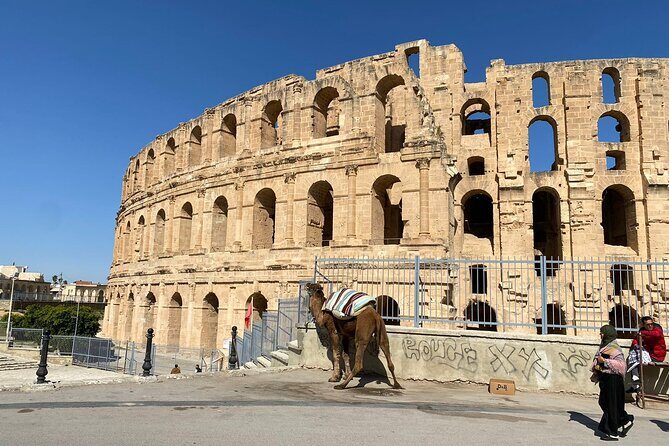 Private Half Day Tour Roman Coliseum EL JEM - Who Should Consider This Tour?