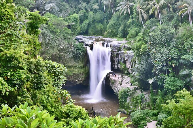 Private Half-Day Tour: The Best Ubud Half Day Trip Packages - Practical Details and Tips