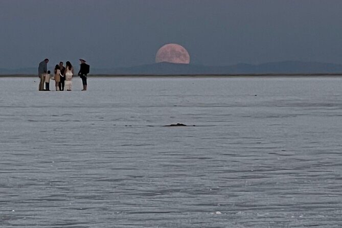 Private Half-Day tour to Bonneville Salt Flats - FAQ