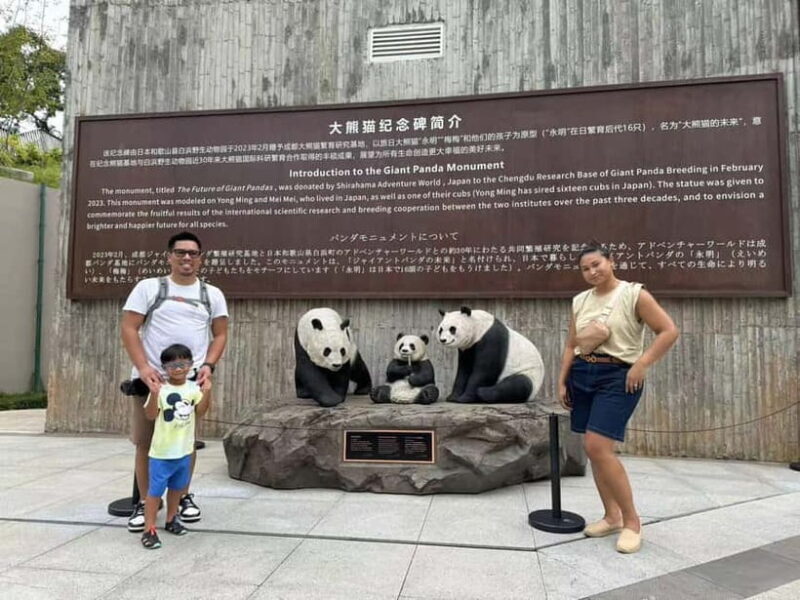 Private Half-Day Tour to Chengdu Panda Base - Analyzing the Value and Suitability