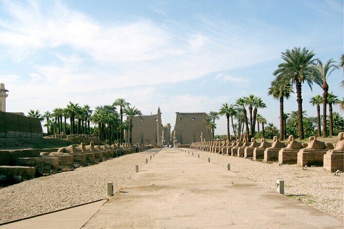Private Half Day Tour to East Bank Karnak & Luxor Temples - Exploring Luxor’s East Bank: Karnak and Luxor Temples