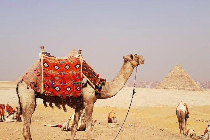 Private Half-Day Tour to Giza Pyramid ,Sphinx and Camel Ride - A Closer Look at the Tour Itinerary