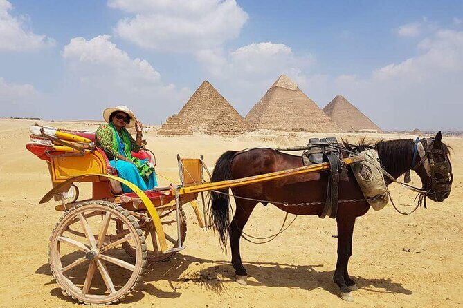 Private Half Day Tour to Giza Pyramids & Great Sphinx from Cairo - Panoramic & Giza Plateau Views
