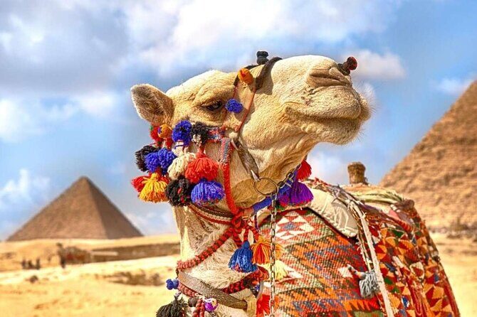 "Private Half-Day Tour to the Giza Pyramids Saqqara and Memphis - Final Thoughts: Who Will Love This Tour?