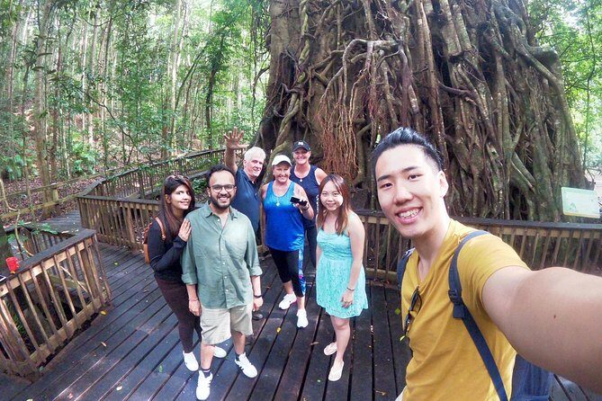 Private Half Day Tour: World Heritage Rainforest & Waterfall - A Deep Dive into the Experience