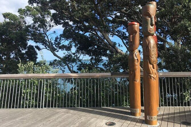 Private Half-Day Volcano Tour from Auckland - A Closer Look at the Itinerary