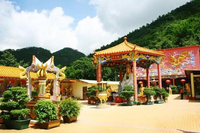 Private Half-Day Walking Tour of the New Territories Region in Hong Kong - Exploring Hong Kong’s Hidden Gem: The Private Half-Day Walking Tour of the New Territories