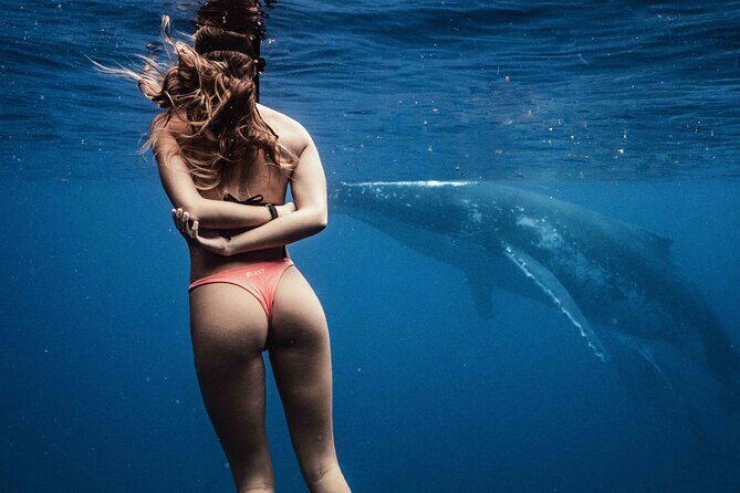 Private Half Day Whale Watching Tour - Who Is This Tour Best For?