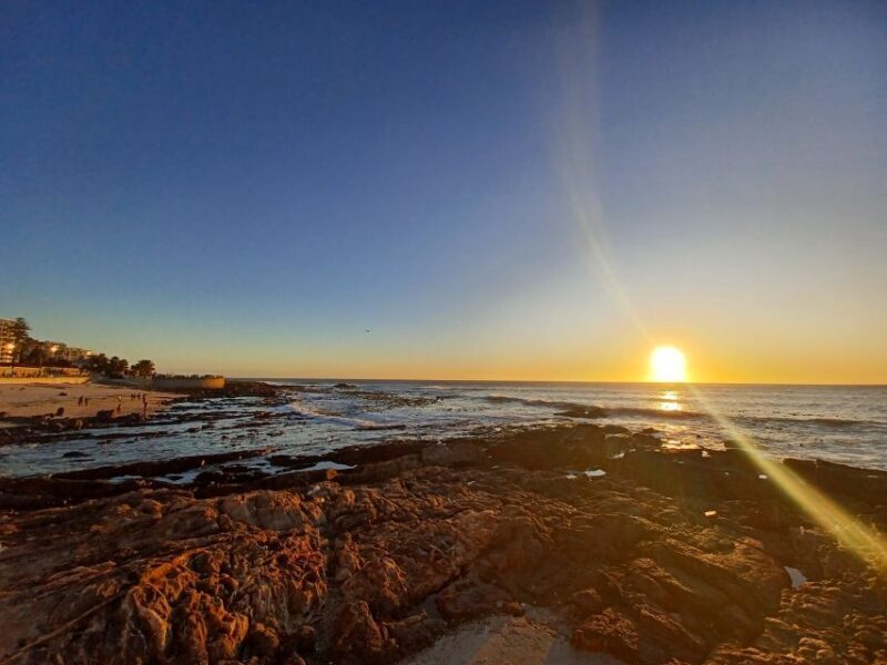 Private Halfday Penguin tour - A Scenic Journey Through Cape Town’s Coastal Majesty