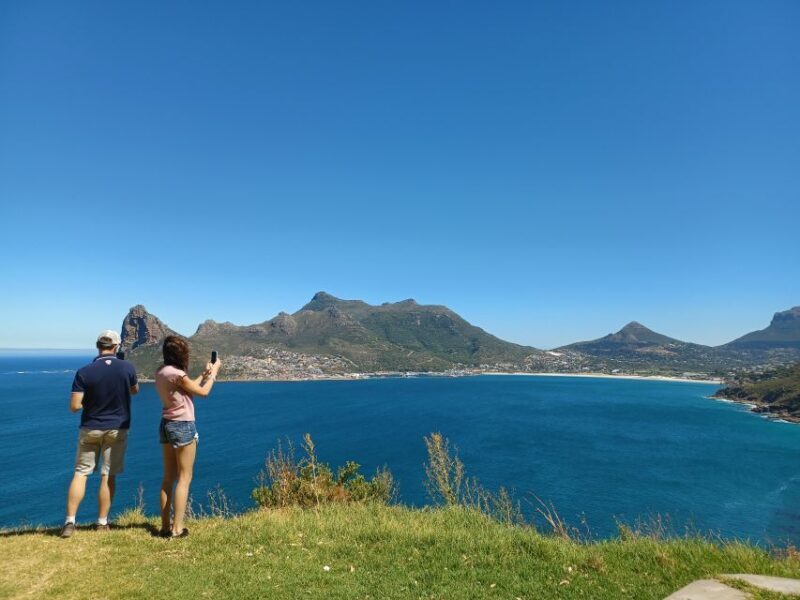 Private Halfday Penguin tour - Practical Details and Value