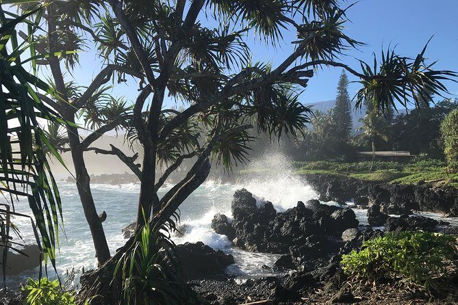 Private Halfway to Hana Tour - An In-Depth Look at the Halfway to Hana Tour