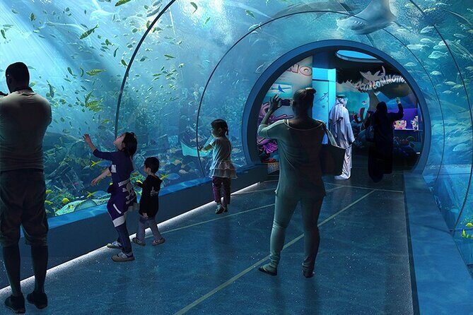 Private Hamad Port Tour in Mesaieed |Aquarium |Maritime Museum - What Travelers Say