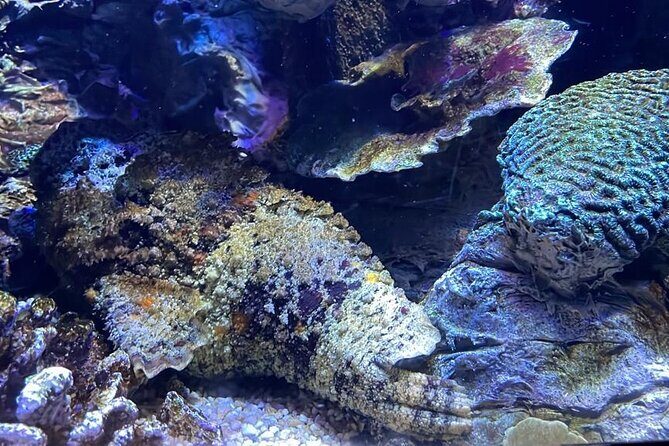 Private Hamad Port Tour in Mesaieed |Aquarium |Maritime Museum - Final Thoughts