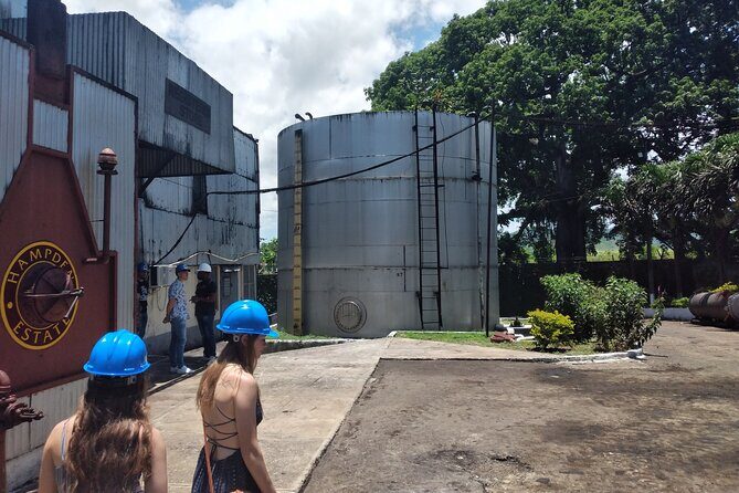 Private Hampden Estate Rum Tour from Montego Bay or Falmouth - Final Thoughts: Is It Worth It?