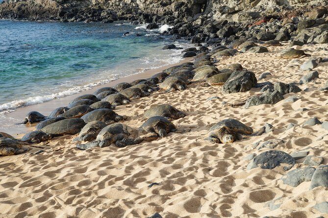 Private Hana Highway Highlights - Why Travelers Will Appreciate This Tour
