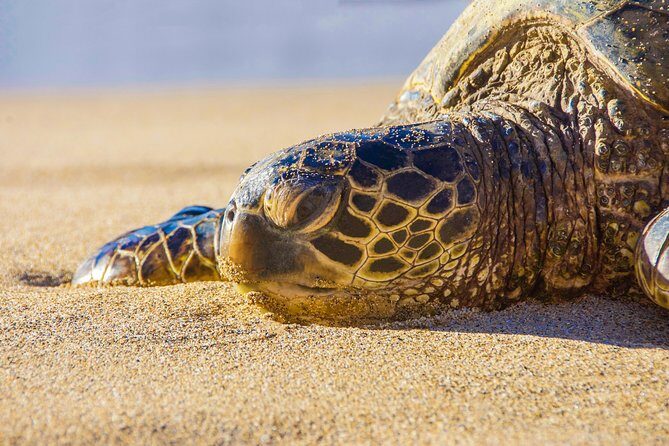Private Hana Highway Highlights - Final Thoughts: Who Should Book This Tour?