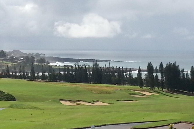 Private Hana, Ocean, Turtle Town, Winery Tour of Maui - Final Thoughts: Is it Worth It?