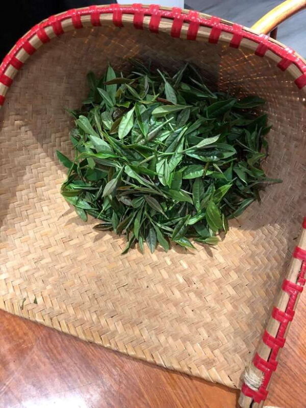 Private Hangzhou Tea Cultural Day Tour - Who Will Love This Tour?