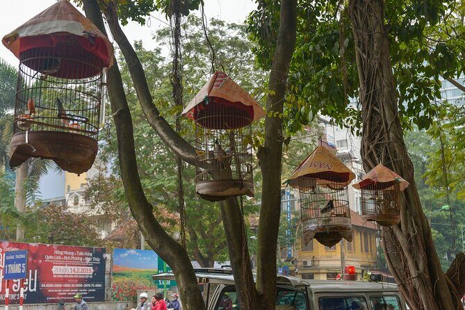 Private Hanoi Half-Day Tour: Train Street and Must Visit Places - Who Will Enjoy This Tour the Most?