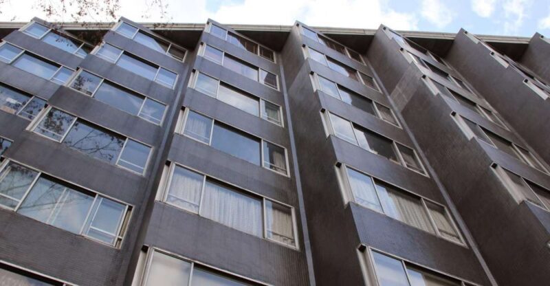 Private Harajuku Omotesando Architecture Tour - The Value of This Experience