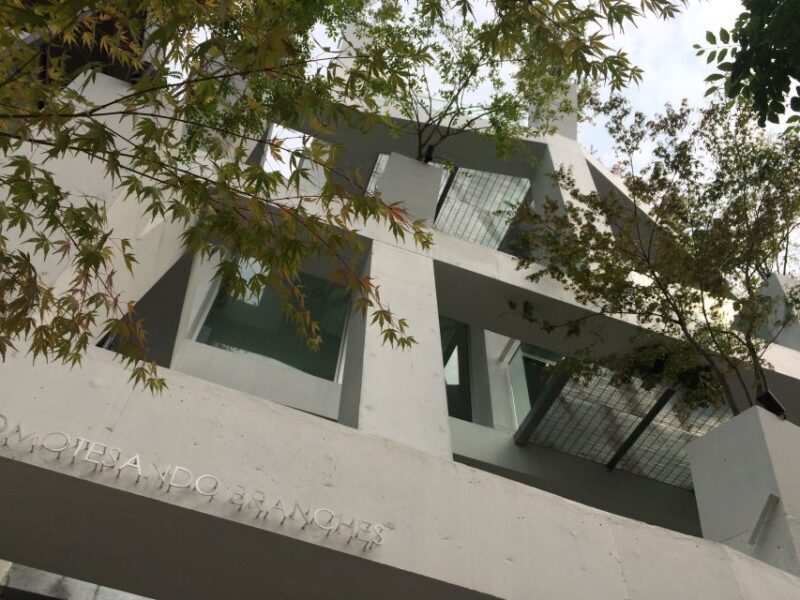 Private Harajuku Omotesando Architecture Tour - Who Will Love This Tour?