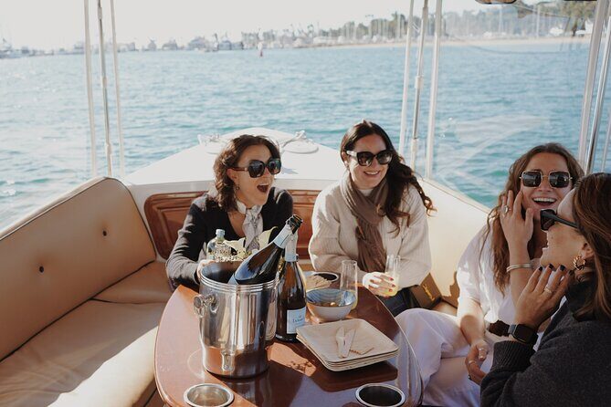 Private Harbor Cruise on Electric Boat in Santa Barbara - Who Will Love This Tour?