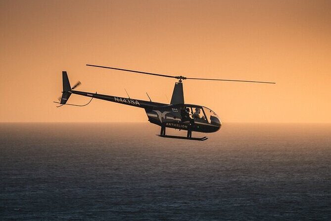 Private Helicopter Tour of Beaches & Downtown Los Angeles from Long Beach - Final Thoughts