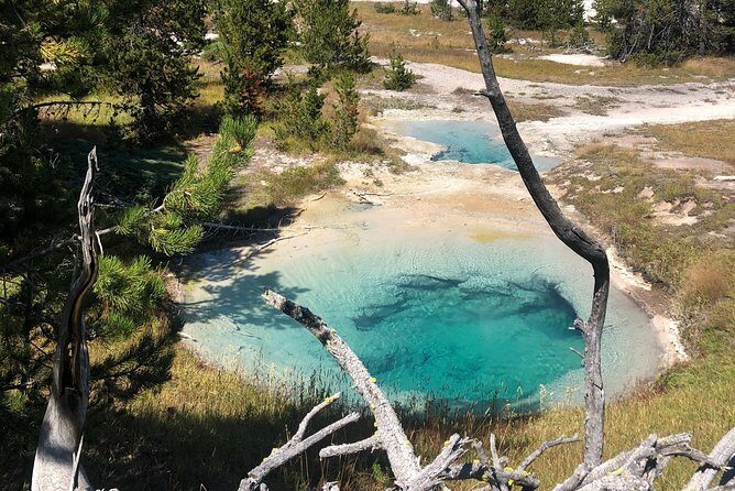 Private Hidden Gems of Yellowstone! Lunch w/ family friendly hikes included! - Who Will Love This Tour?