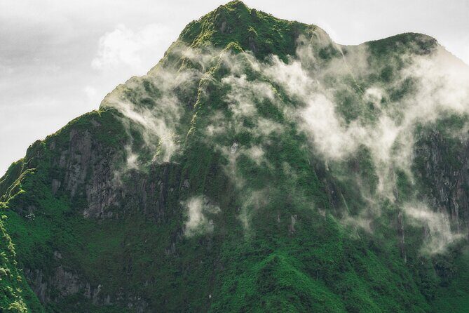 Private Hike St Kitts: Highest Peak Mount Liamuiga Volcano - Authentic Experiences and Real Feedback