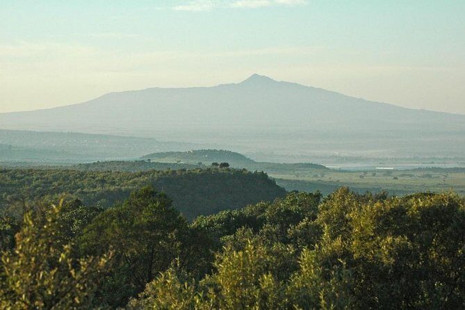 Private Hiking Day Trip to Mt. Longonot from Nairobi - To Wrap It Up