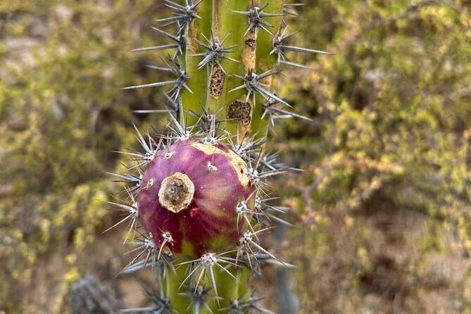 Private Hiking in La Paz - FAQs