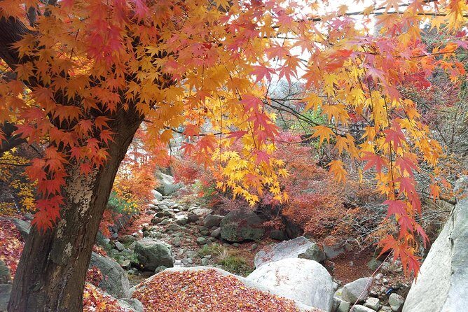 Private Hiking to Bukhansan & Korean Style Spa(Include Lunch) - The Hiking Experience