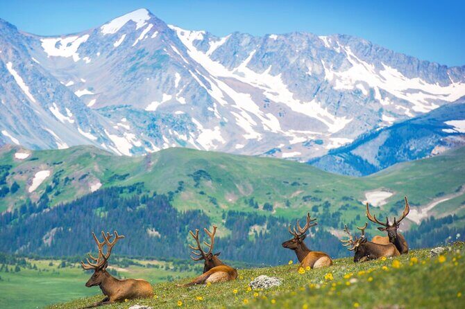Private Hiking Tour Experience at Rocky Mountain National Park - The Experience Provider: Thin Space Concierge