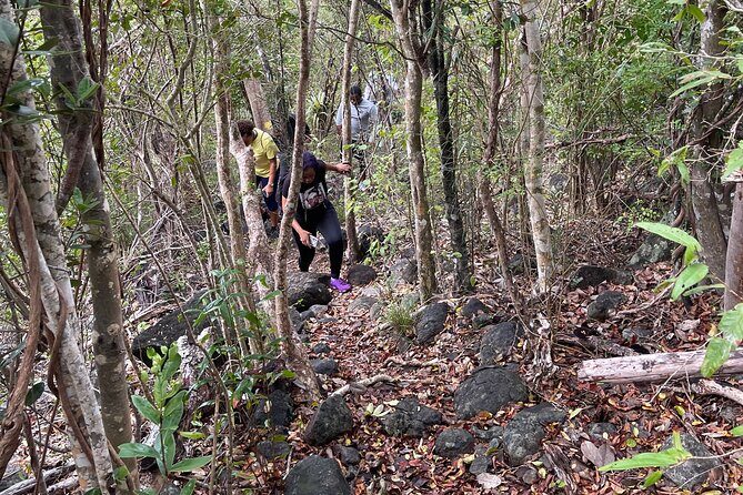 Private Hiking Tour in British Virgin Island with the Best 360 View - FAQ