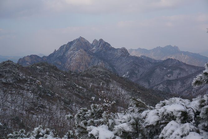 Private Hiking tour to Bukhansan Peak(Baegundae: 836.5m) with Mountain Expert - A Closer Look at the Tour Experience