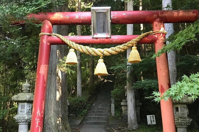 Private Hiking Tour to View Mt. Fuji - A Detailed Breakdown of the Tour