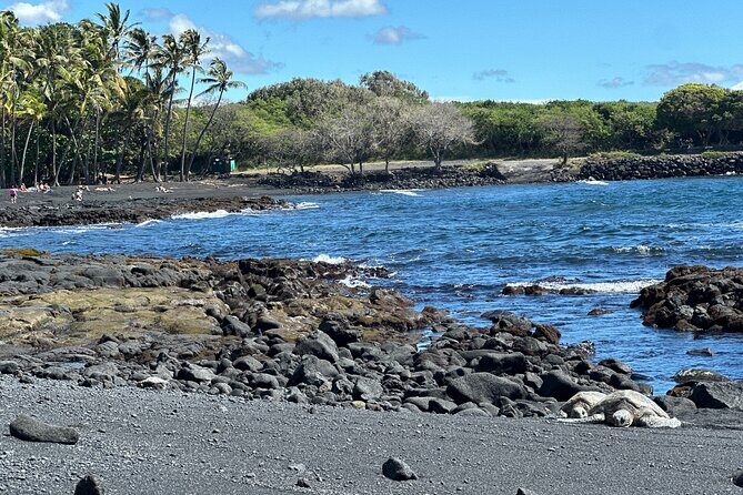 Private Hilo Shore Excursion to Volcano Waterfall and Black Sand - FAQ