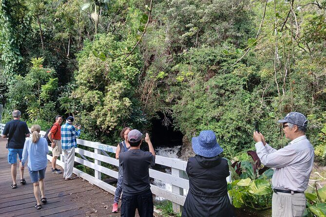 Private Hilo Shore Excursion Volcano National Park up to 14 - How Does It Offer Value?