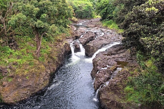Private Hilo Shore Excursion Volcano National Park up to 14 - Final Thoughts