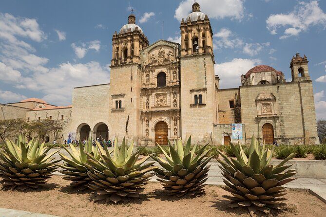 Private Historic City Tour + Street Food of Oaxaca - Best Rated - Who Will Love This Tour?