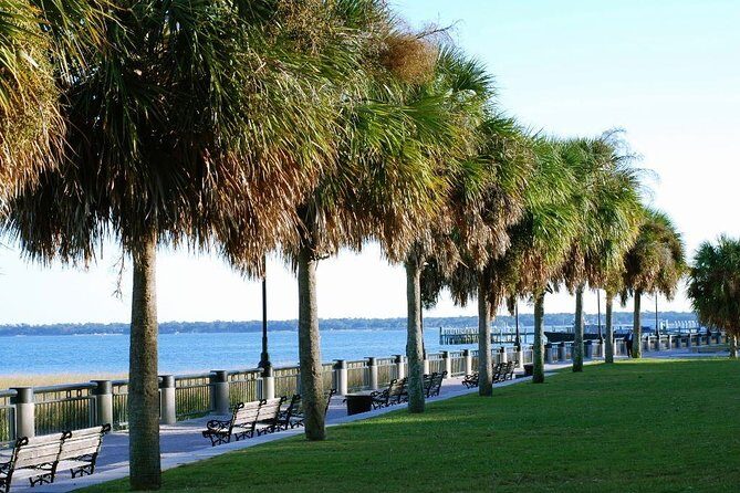 Private Historic Horse & Carriage Tour of Charleston - Key Points