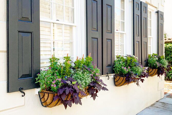 Private Historic Horse & Carriage Tour of Charleston - A Thorough Breakdown of the Experience