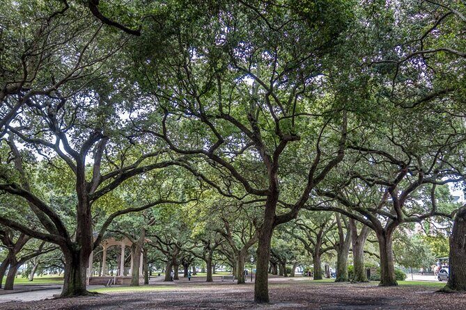 Private Historic Horse & Carriage Tour of Charleston - FAQs