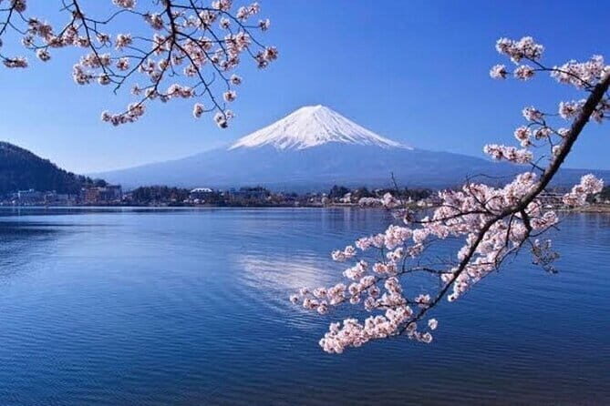 Private Historical Trail Hiking Tour on Mt.Fuji - The Sum Up: Who Will Enjoy This Tour?