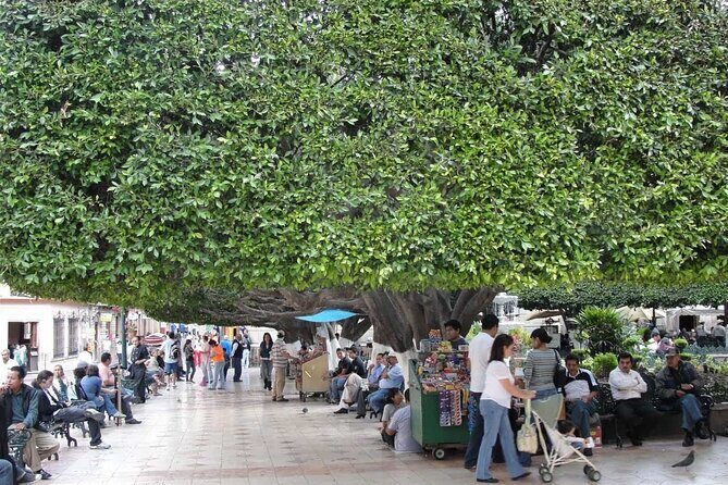 Private History & City Walking Tour of Guanajuato - Practical Details