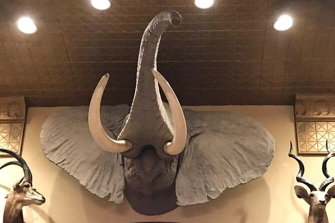 Private History Pub Crawl/Tour - Final Thoughts: Is This Tour Right for You?