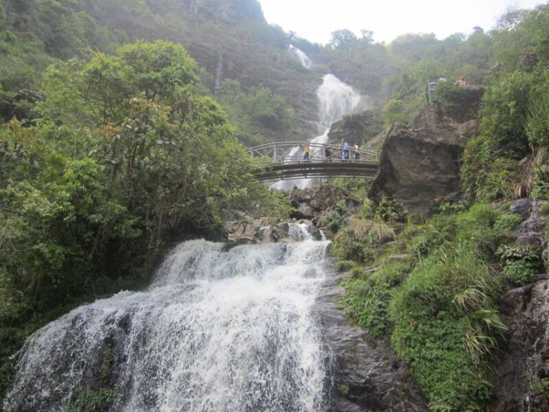 Private Hoang Lien National Park & Tribal Village Trek - An In-Depth Look at the Tour