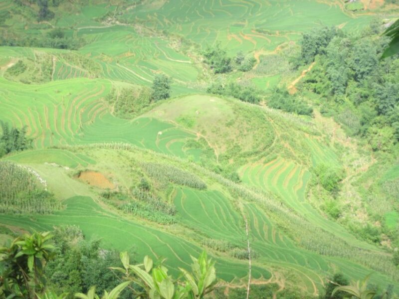 Private Hoang Lien National Park & Tribal Village Trek - Final Thoughts