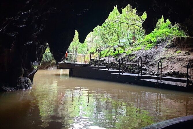 Private Hobbiton & Blue Springs Day Trip from Auckland - Who Is This Tour Best For?