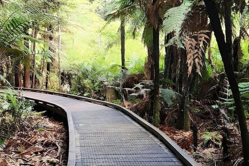 Private Hobbiton & BlueSprings & Redwood forest fromAuckland - Value and Practicalities